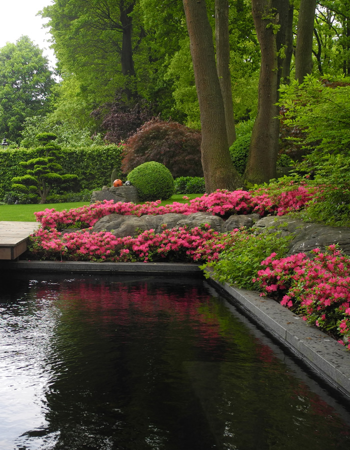Rosafarbene Blütenbeete, grüne Hecken und ein stilles Wasserbecken in einem asiatisch inspirierten Garten – Referenzen von Goroncy.