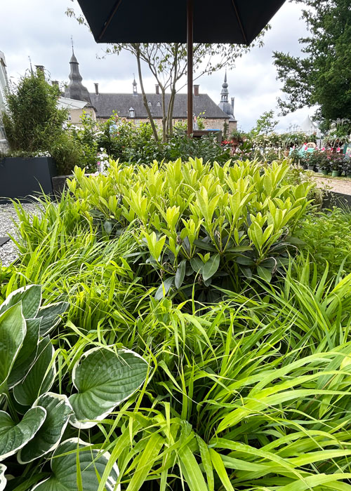 Landpartie-IMG_3087 Üppige Gartenbepflanzung mit Gräsern und Funkien vor einer historischen Kirche unter einem großen Sonnenschirm